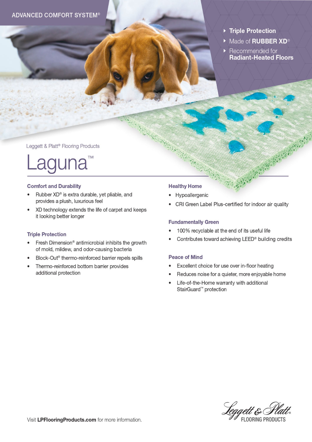 laguna-sheet_page-0001